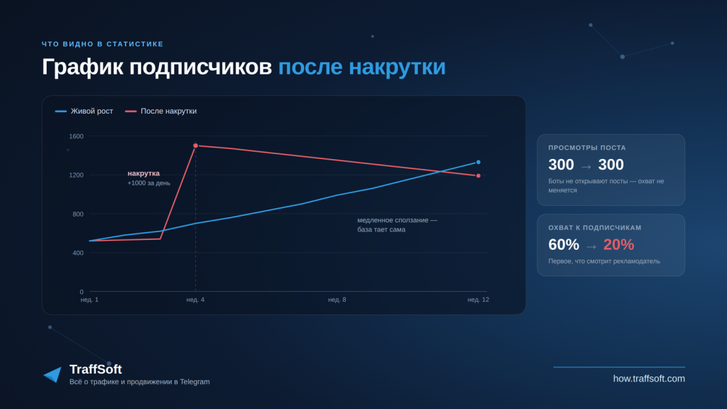 Как выглядит график подписчиков после накрутки