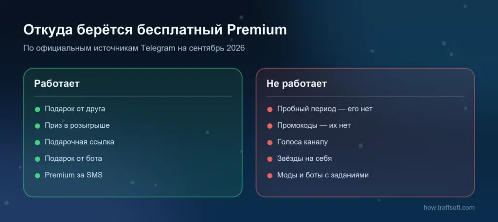 Телеграм премиум бесплатно: какие способы работают, а какие нет — подарок, розыгрыш, SMS против промокодов